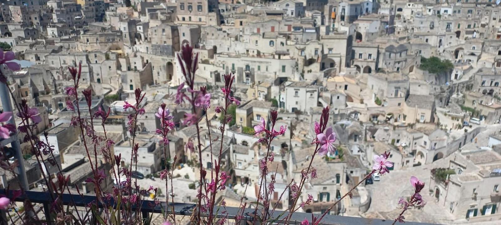 La Regina Historic House Apartment Matera Exterior foto